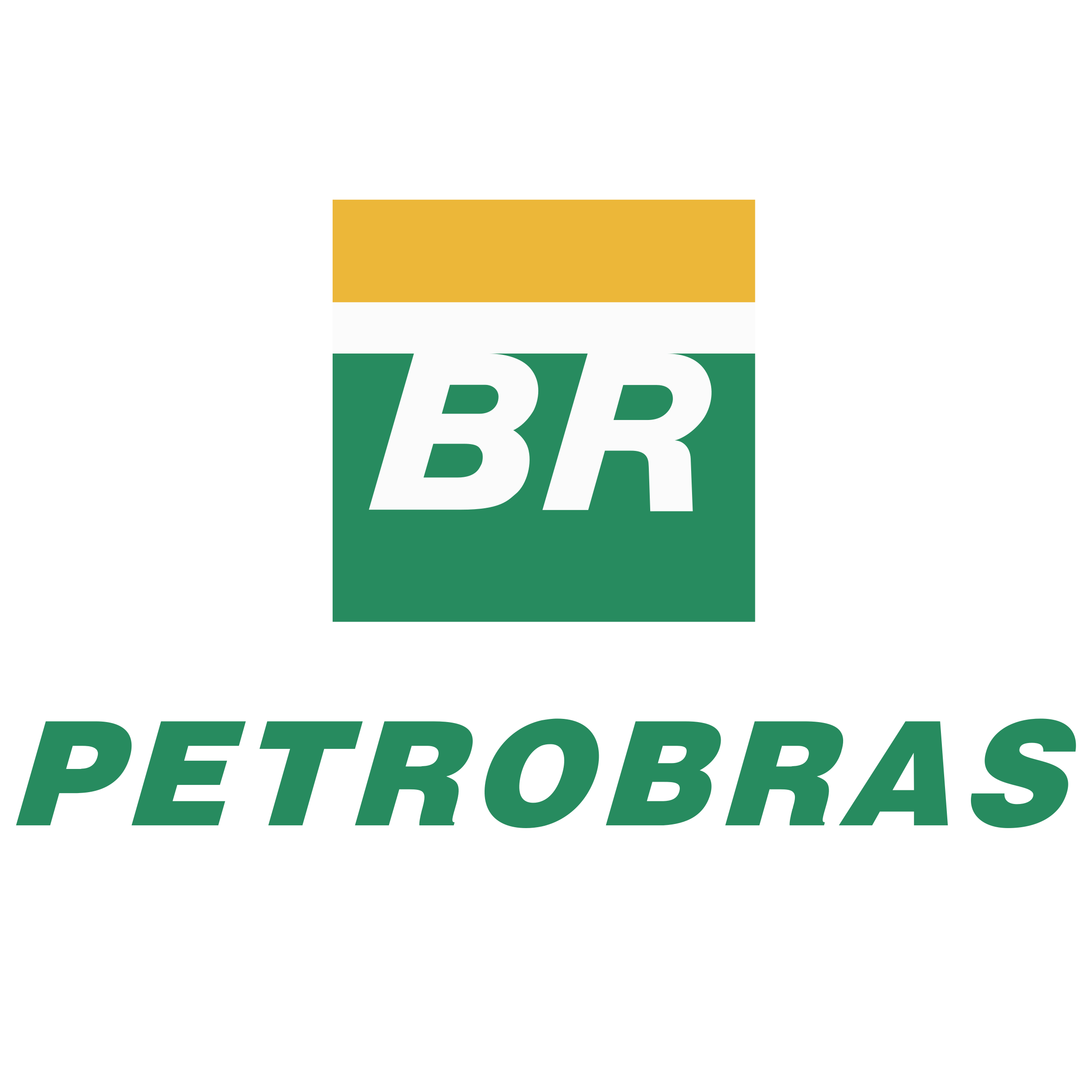 Logo Parceiro